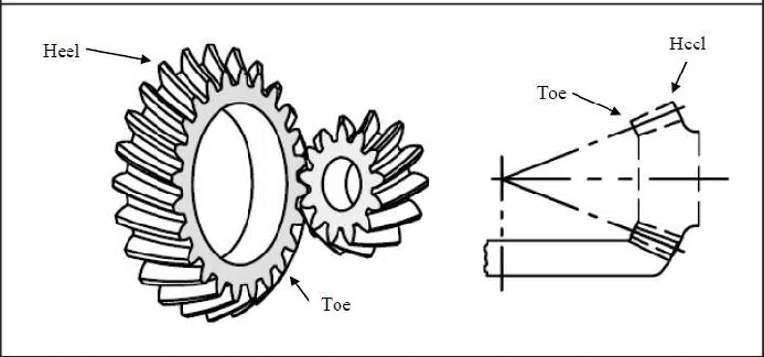 Spiral Bevel Gear Mesh