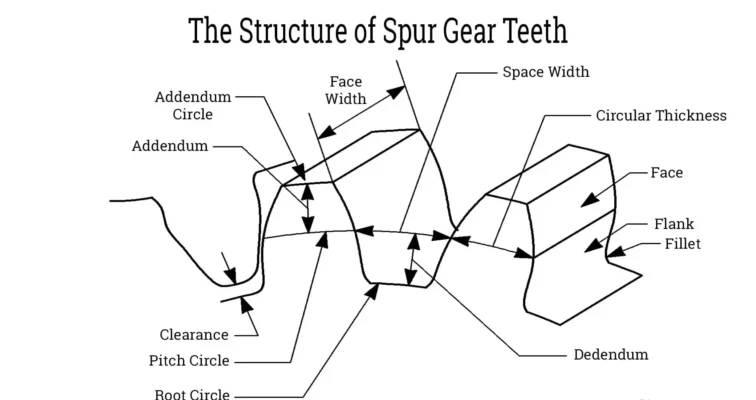 spur gear teeth