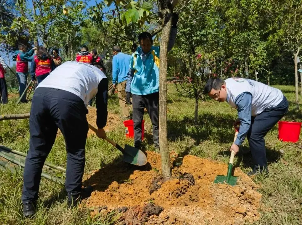 Tree Planting