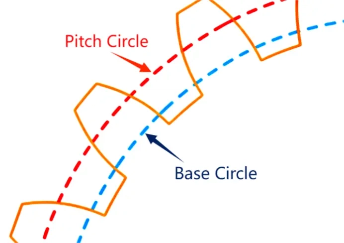 Base Circle vs Pitch Circle in Gears